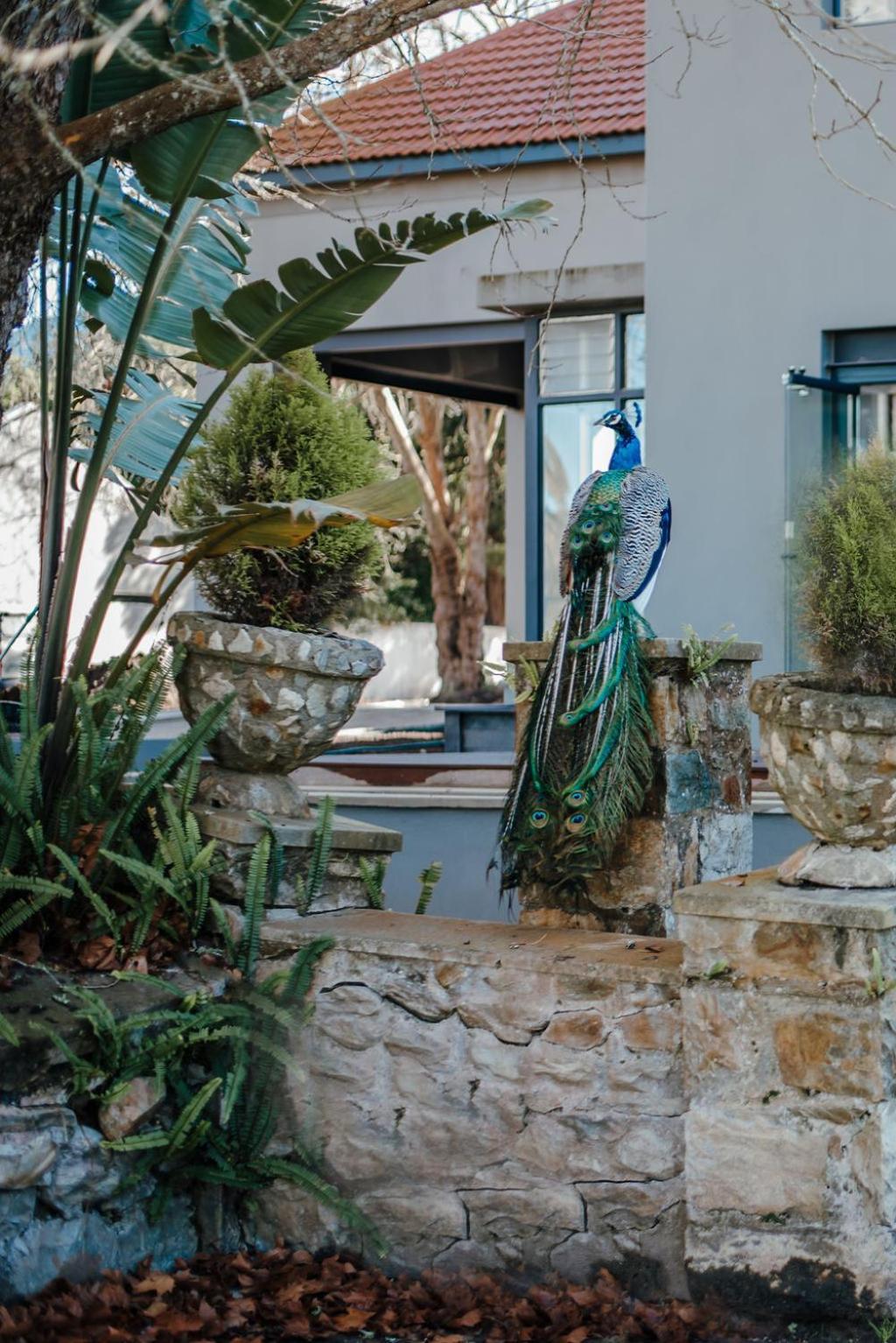 ג'ורג' The Hawthorn Boutique Hotel מראה חיצוני תמונה